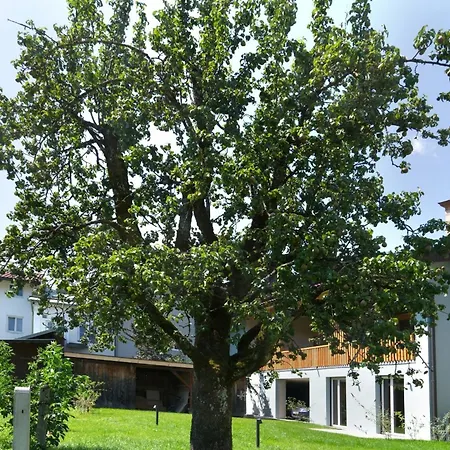 Adlerhaus, Gartenwohnung -410- Apartment